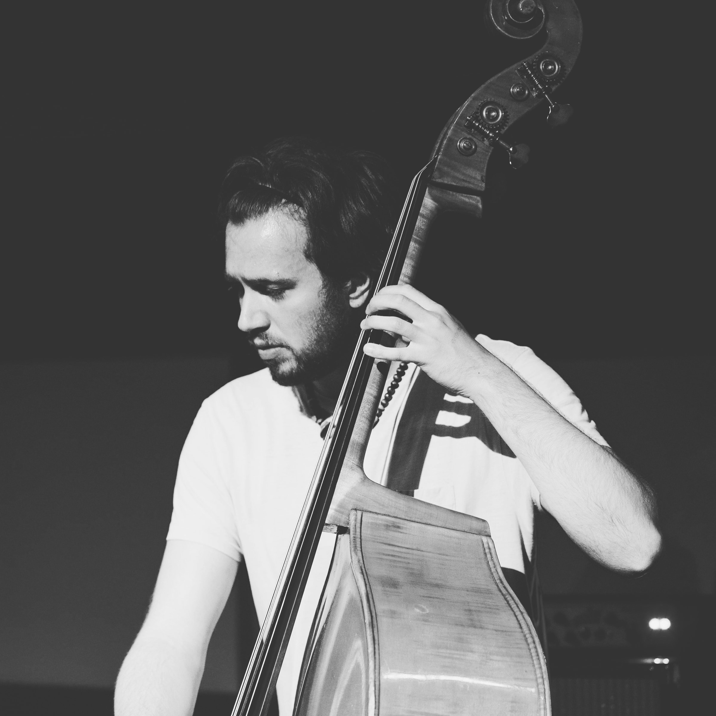 Emil Buchholtz, 2025